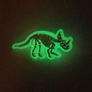 10/$13 Luminous Dinosaur Shoes Charm